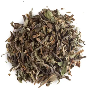 Jasmint Organic Green Tea